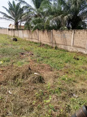 Terrain 1406 m² en vente à Adetikopé – 45 millions FCFA — photo 4