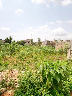 Terrain 245 m² en vente à Legbassito – 10 millions FCFA
