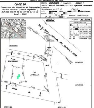 Terrain 900 m² en vente à Atilamonou Maison Blanche – 40 000 000 FCFA — photo 3