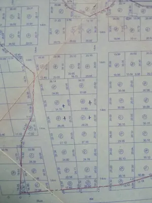 Terrain 40 lots à vendre à Noepé – 8 500 000 FCFA le lot