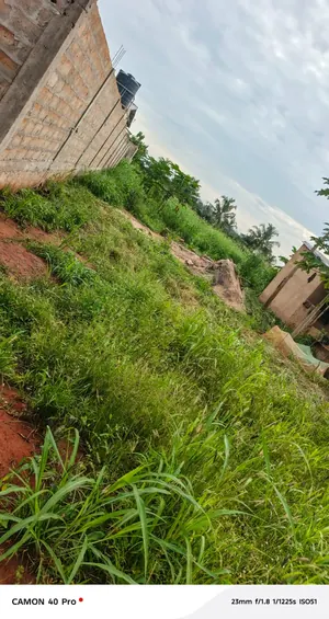 Terrain demi-lot en vente à Apessito Légbassito – 7 millions FCFA — photo 2