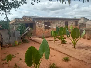 Vente d'une maison à Noépé Ville, 4 pièces, angle de rue, bord du goudron nationale N°5 – 15 millions FCFA — photo 3