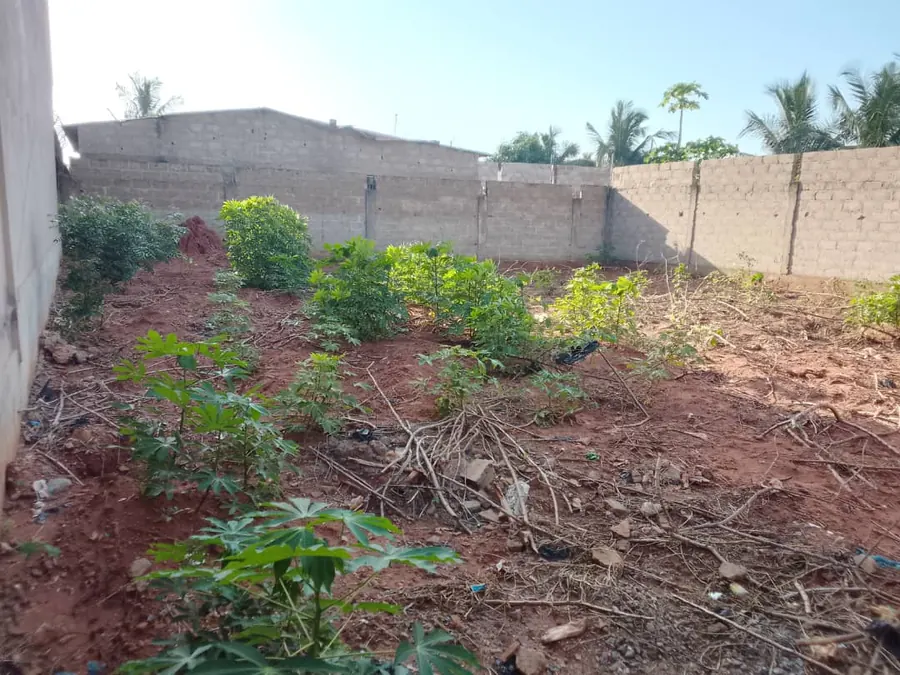 Terrain demi-lot en vente à Djagblé Mokpla ville – 10 500 000 FCFA