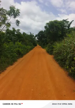 Terrain de 958 hectares 96 ares 57 centiares en vente à Tsévié Gbatopé Hové – 8 millions FCFA l'hectare — photo 2
