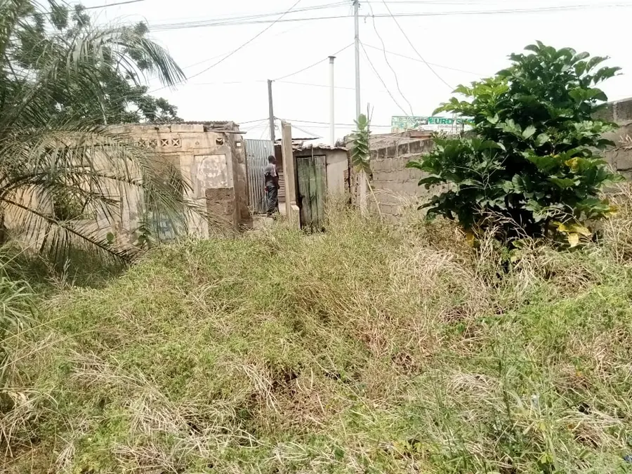 Terrain de 298 m² à vendre à Amoutivé Dékon – 130 millions FCFA