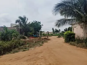Terrain demi-lot de 300 m² en vente à Zanguera UCAO – 10 millions FCFA