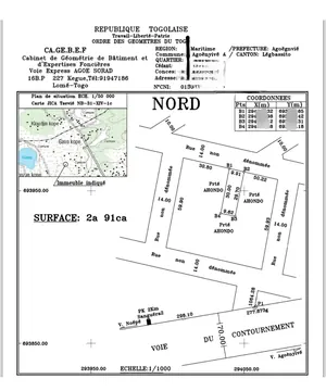 Terrain demi-lot 300 m² en vente à Legbassito Zovadjin – 11 millions FCFA — photo 3