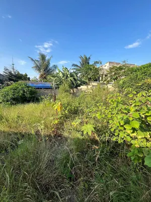 Vente d'un terrain à Légbassito Zovadjin, 342 m², clôturé, derrière Pharmacie Gratitude – 13 millions FCFA — photo 2