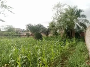 Terrain 2 lots clôturé en vente à Agoè côté Camp de Police – 22 millions FCFA le lot — photo 4