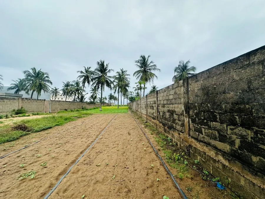 Terrain en vente à Kpogan Agodeke – 25 millions FCFA le lot