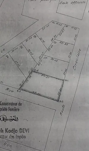 Terrain 1057 m² en angle de rue à vendre à Akodessewa – 250 millions FCFA