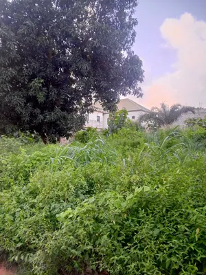 Terrain 1200 m² en vente en angle de rue à Adidogomé Attigangome – 33 millions FCFA le lot — photo 4