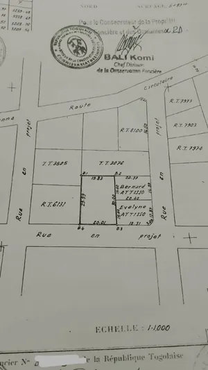 Terrain 597 m² clôturé avec anciennes constructions en vente à Tokoin Sébévito – 100 millions FCFA — photo 2