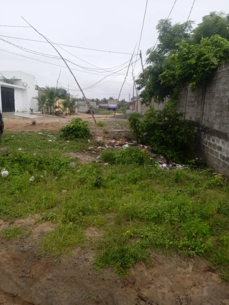 Terrain en vente à Zanguéra Afiadégnigba, angle de rue – 5 000 000 FCFA à débattre