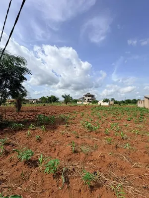 Terrain 2400 m² (4 lots) en vente à Apessito – 13,5 millions FCFA le lot — photo 5