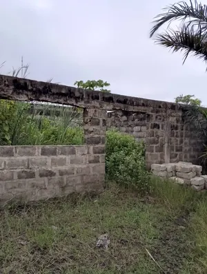 Terrain 3/4 de lot en vente à Tokoin Hôpital – 35 millions FCFA — photo 4