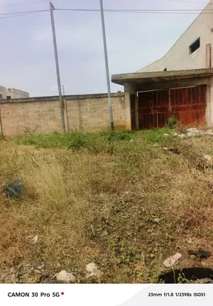 Terrain 900 m² en vente en bordure de goudron à Agoè Legbassito – 70 millions FCFA — photo 3