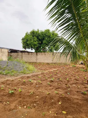 Terrain 340 m² en vente à Légbassito Kognito – 7,5 millions FCFA — photo 5