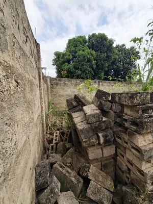 Vente d'un terrain à Agoè Legbassito Assiko, demi-lot clôturé de 291 m², près de l'église Assemblée de Dieu – 15 000 000 FCFA — photo 6