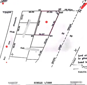 Terrain 1077 m² en vente en bord du goudron à Djagblé – 110 millions FCFA