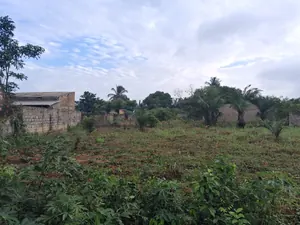 Vente d'un terrain à Zanguéra Sanyramé, 1,5 lot (900 m²), clôturé – 32 millions FCFA — photo 2
