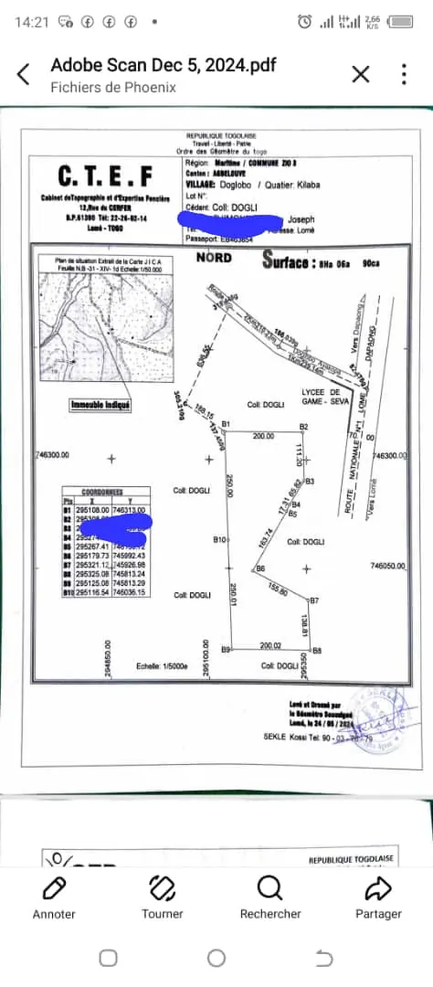 Terrain de 4 hectares en vente à Agbélouvé Doglobo – 2 millions FCFA par hectare