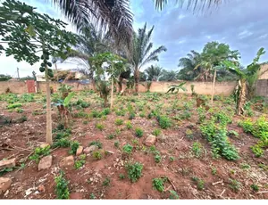 Terrain 1 lot (600 m²) en vente à Agoè Logopé – 32 millions FCFA — photo 2