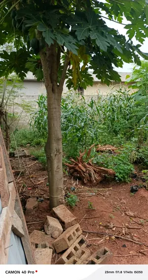 Terrain 1 lot en vente à Agoè Legbassito Zovadzin – 20 millions FCFA — photo 2