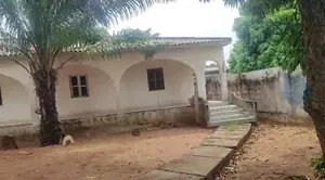 Vente d'une villa à Agbata Catholique, 4 chambres salon, 700 m², avec dépendance et garage – 25 millions FCFA — photo 4