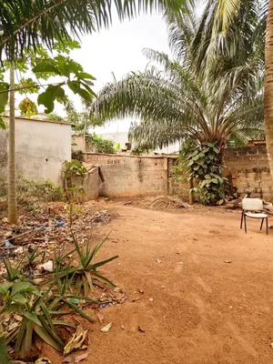 Vente d'un terrain à Légbassito CMS Madjikpéto, demi-lot 300 m², 19 m de la grande route – 17 500 000 FCFA — photo 1