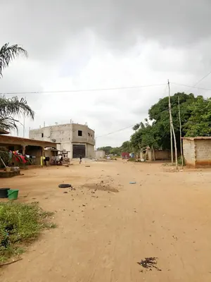 Terrain 270 m² en vente à Apessito, proche du goudron – 8 millions FCFA — photo 2