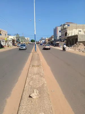 Terrain de 300 m² en vente en bord du goudron à Adroukpape – 65 millions FCFA — photo 2