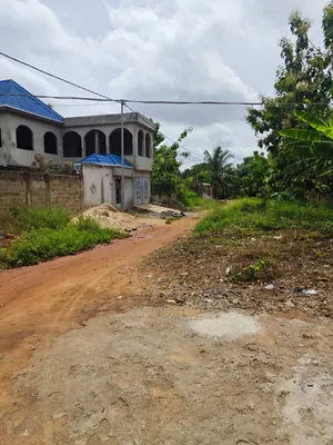 Terrain en vente à Zanguera Klémé, Lomé – 20 millions FCFA le lot — photo 2