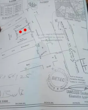 Terrain 1 lot de 600 m² en vente à Adetikopé – 12 millions FCFA