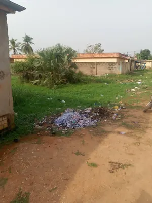 Terrain 1 lot de 600 m² à vendre à Agoè Zongo derrière le marché – 25 millions FCFA — photo 2
