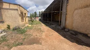 Terrain 1200 m² en vente à Tokoin Novissi – 180 millions FCFA — photo 3