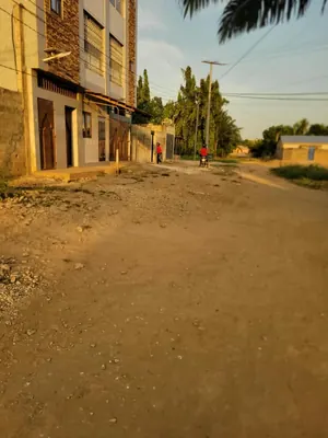 Vente de terrain à Adidogomé Kohé, 4 lots clôturés derrière le CEG Kohé – 27 millions FCFA le lot — photo 4