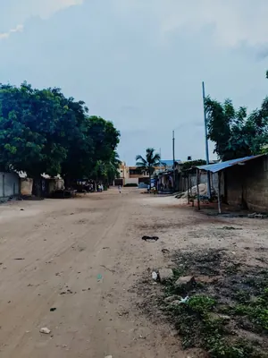 Terrain 1 lot clôturé en vente à Adidogomé Atillamonuou Rafiti – 50 millions FCFA — photo 5