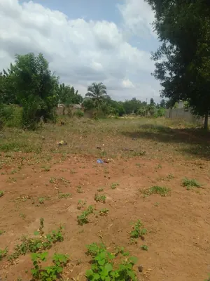 Terrain 4 lots en vente à Apessito, quartier La Paix – 14 millions FCFA par lot — photo 3