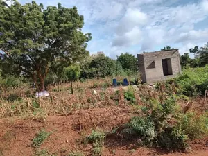 Terrain de 25 hectares en vente à Badja Agoudja – 8 500 000 FCFA l'hectare — photo 3