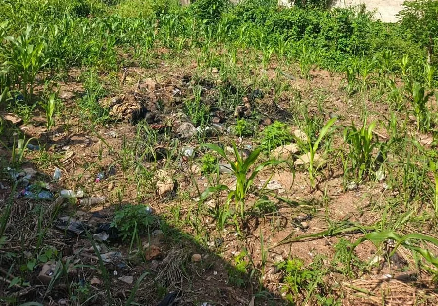 Terrain 600 m² en vente à Adidogomé Akato Avoémé – 16 millions FCFA