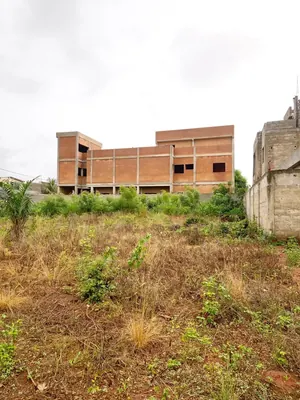 Terrain 531 m² en vente à Agoè Legbassito Zovadjin – 16 millions FCFA — photo 2
