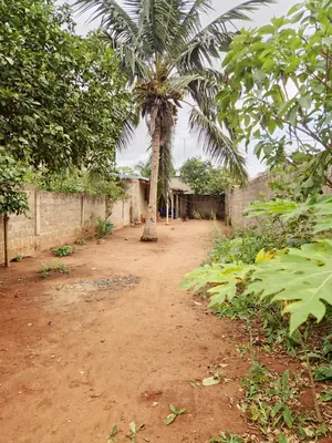 Terrain avec bâti de 236 m² en vente à 100 mètres du goudron à Legbassito Zovadjin – 13 millions FCFA — photo 7