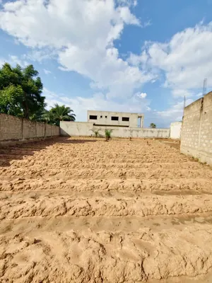 Terrain 1 lot en vente à Légbassito-Zovadjin – 15 millions FCFA