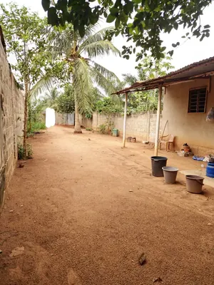 Terrain avec bâti de 236 m² en vente à 100 mètres du goudron à Legbassito Zovadjin – 13 millions FCFA — photo 11