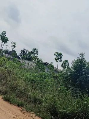 Terrain demi-lot de 300 m² en vente à Zanguera UCAO – 10 millions FCFA — photo 2