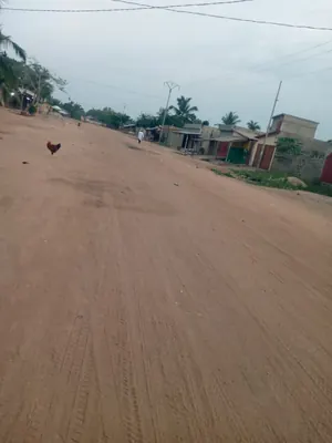 Terrain 1 lot en vente à Agoé Atiomé Kponssé – 25 millions FCFA — photo 4