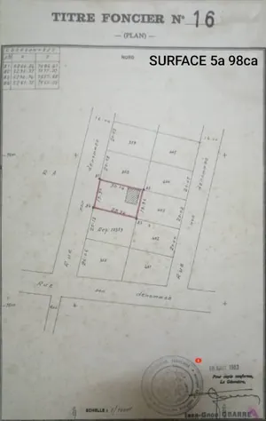 Terrain 4800 m² en vente en bordure du goudron à Kpogan Agbétiko – 50 millions FCFA l'unité