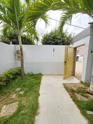 14 hectares à vendre à l'entrée de Notsé, lieu-dit Alinou Yotiglo, à 3 km du goudron RN1 – 2,5 millions FCFA par hectare — photo 13