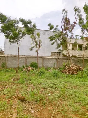 Vente d'un terrain à Agoè Logopé, demi-lot, 300 m², titre foncier personnel – 15 millions FCFA